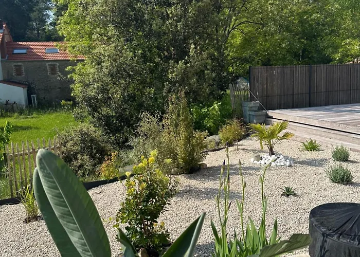 Bord De 85 De Nage Les Conches