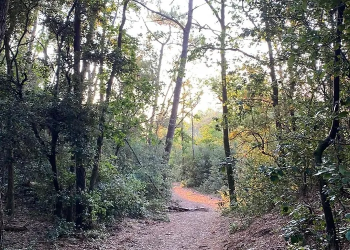 Bord De 85 De Nage Les Conches